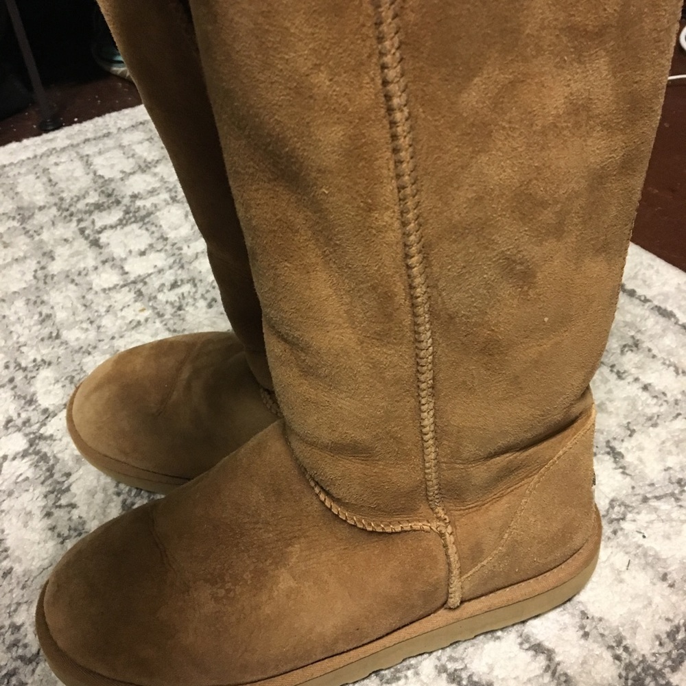 tall chestnut uggs!